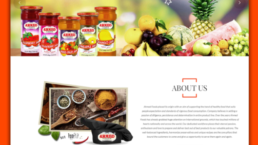 Ahmed Foods