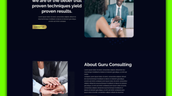 Guru Consulting